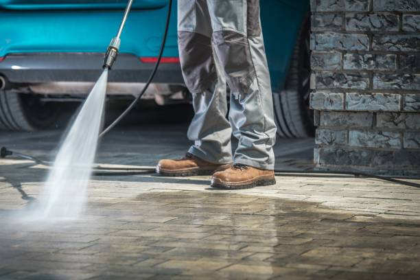 Best Dumpster Area Cleaning  in Millbrook, NY