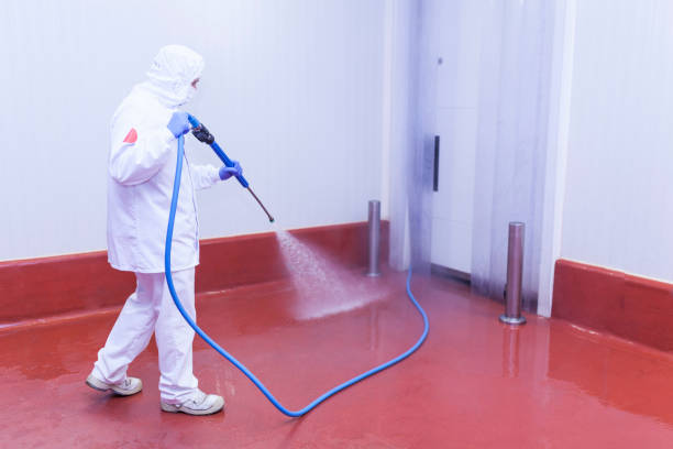 Boat and Dock Cleaning in Millbrook, NY