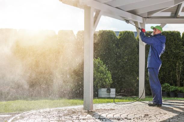 Best Driveway Pressure Washing  in Millbrook, NY